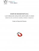 Las fuerzas de atracción, repulsión. El imán