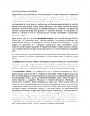 Nutrición materna y microbiota