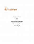 ENSAYO IEU Plan Nacional de Desarrollo para los periodos 2013-2018 y 2018-2024