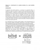 Determinación de la actividad enzimática de un coctel celulolítico comercial