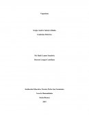 ¿Qué es el Veganismo?