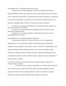 Los estímulos y las respuestas en plantas