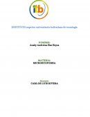 Tarea de micro economia