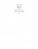 Dossier sobre la muestra Tercer Ojo en MALBA