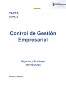 Control de Gestión Empresarial. Negocios y Tecnología
