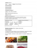 Características de los seres vivos