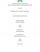 Plan de viabilidad del proyecto. Elizabeth Fashion (Arte en las uñas)