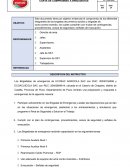 Brigadista de emergencia