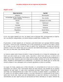 Comidas callejeras de las regiones de Colombia