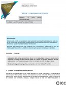 Investigación en Internet