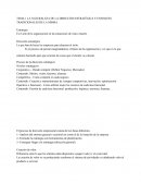 La naturaleza de la dirección estratégica y enfoques tradicionales de la misma