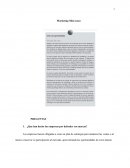 Marketing Mini Casos