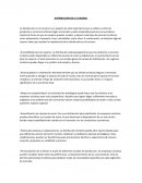 Distribución y canales de distribución en el turismo