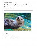 Fundamentos y Panorama de la Salud Ocupacional