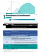 Intepretación Diagnósticas de infección por SAR-CoV-2