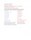 Sistema Circulatorio (cardiovascular)