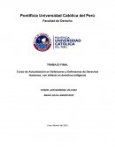 Curso de Actualización en Defensores y Defensoras de Derechos Humanos, con énfasis en derechos indígenas