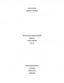 Analisis literario de "Cecilia Valdés"