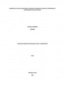 Informe del plan de accion para la gestion del riesgo del sistema de tratamiento y distrribucion de agua potable