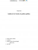 Análisis de la Cátedra de política pública