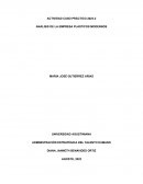 Análisis de la empresa plásticos modernos