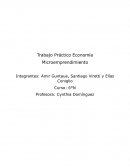 Trabajo Práctico Economía. Microemprendimiento