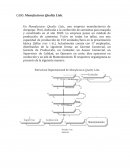 Caso: Manufacturas Quality Ltda