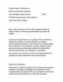 Hacer canacas en zonas más congestionadas del colegio ITMA con residuos aprovechables que salen del colegio