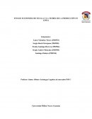 Ensayo economías de escala y la teoría de la producción en línea