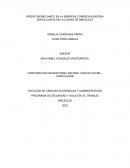 Programa de seguridad y salud en el trabajo