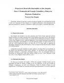 Proyecto de Desarrollo Sustentable en San Joaquín