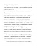 Estructura de capital y políticas de dividendos