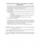 Examen de paralelismo, concurrencia y sistemas distribuidos