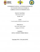 Caso de estudio/el dilema de Alexander Gavin