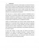 Coaching profesional