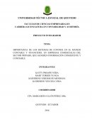 Importancia de los sistemas de control en el manejo contable y financiero