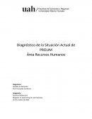 Diagnóstico de la Situación Actual de PROLIM