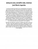 Ensayo de el Sueño del pongo