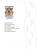 Modelos matemáticos para la alta dirección