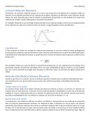 La Efusión Molecular (Resumen)