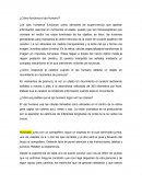 ¿Cómo funciona el ojo humano?