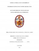 Informe sobre visita etnografica a virgen del carmen