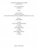 Los delitos contra el regimen constitucional y legal