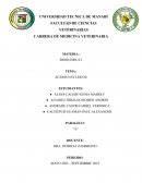 Tipos, estructura y funcion de ácidos nucleicos