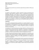 Optimización de la planeación de la demanda en Sigma Alimentos: Mejoras y Eficiencia en el Proceso