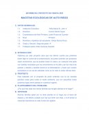 Macetas ecológicas de auto riego