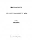 Diseño y construcción de software a la medida para el sector empresarial