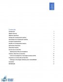 Liderazgo en Tecnologías Cuánticas para la Sostenibilidad