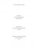 Taller de terminología médica