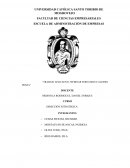 Trabajo aplicativo: webinar fernando d’alessio ipinza